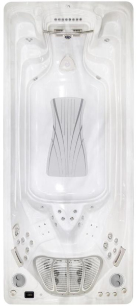 Бассейн с противотоком Hydropool Executive Sport 19EX